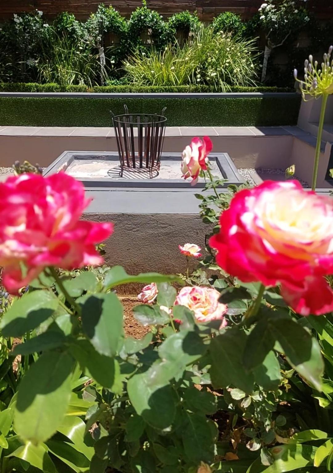 Bed and Breakfast Bella Rosa à Potchefstroom Extérieur photo